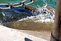 Lago di Como_068